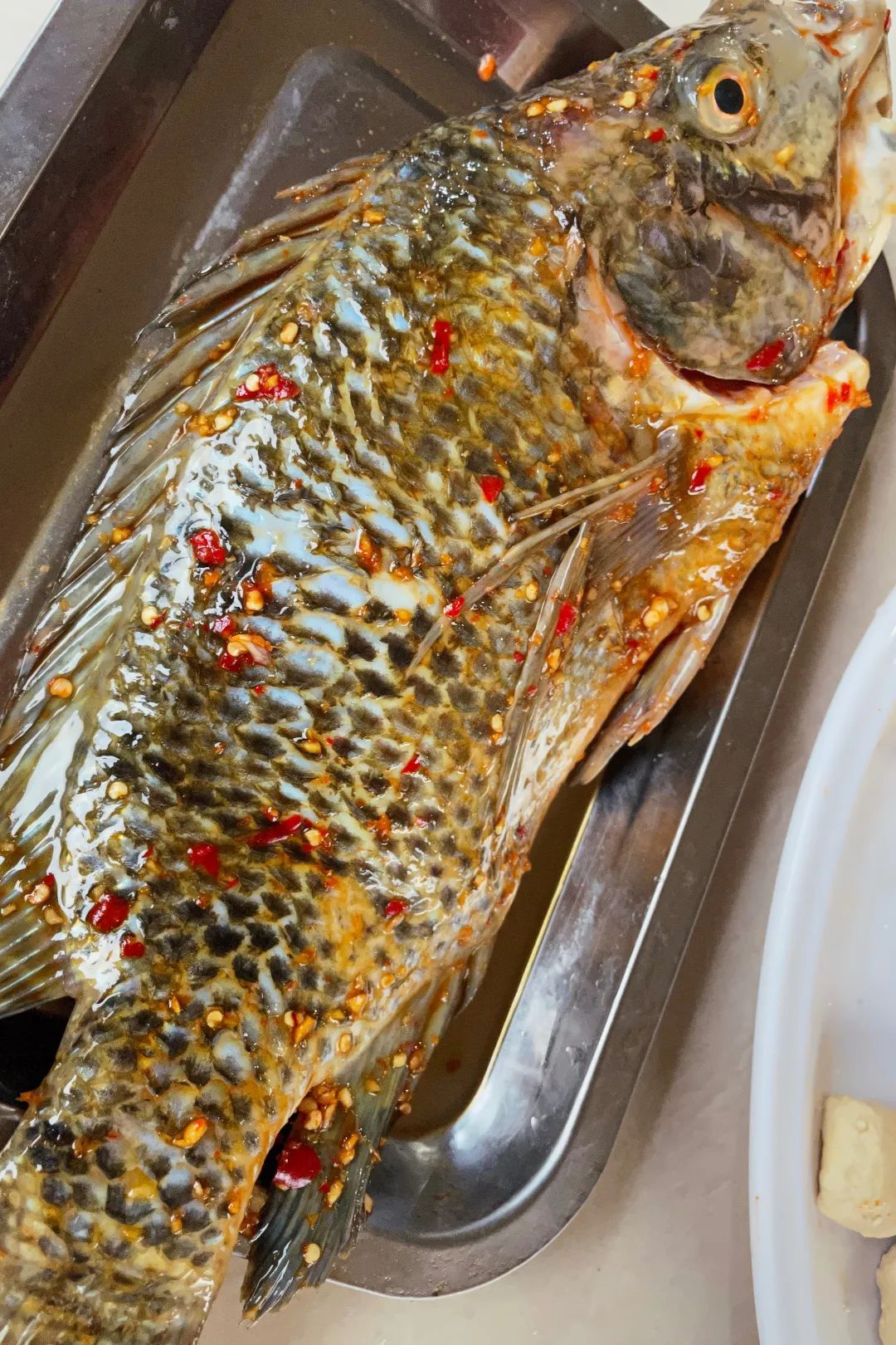 山水画|红河州城外山脚下的农庄，风景美如山水画，荷塘、烧烤、钓鱼，20分钟抵达