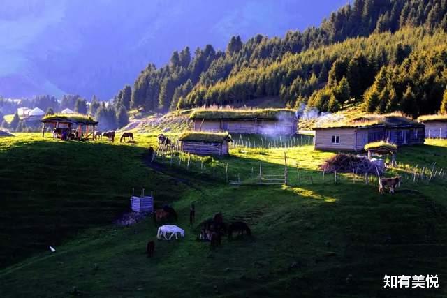 胡杨林|人少不挤,当季最美,这9个小众旅行地,这个夏天一起去探秘吧