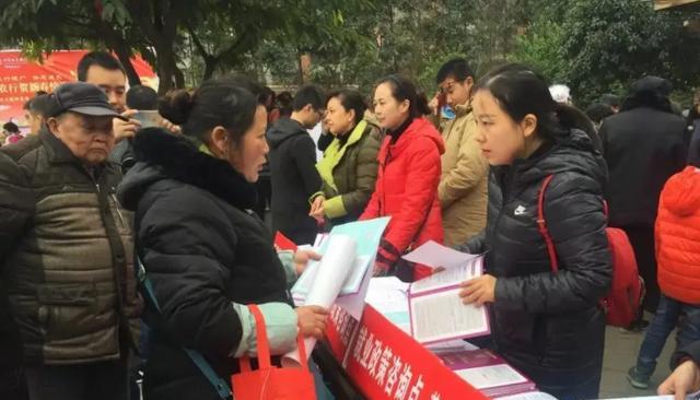 自由职业者|神奇职业“小鸡性别鉴定师”,每天分辨12000只鸡仔,月入过万