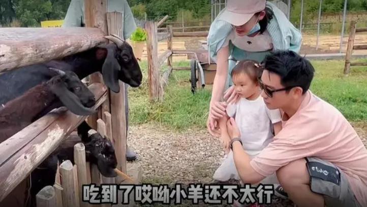 郑恺|郑恺一家外出游玩！紧抱女儿不松手，未婚小姨子负责跟拍恩爱瞬间