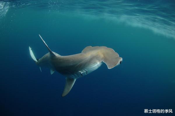 欧洲|2023世界最佳旅行目的地榜单公布,中国有一景区上榜,你去过几个