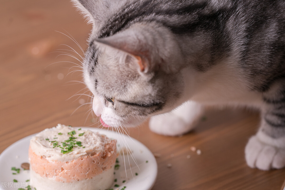 这样做，你也可以做出好吃的猫饭
