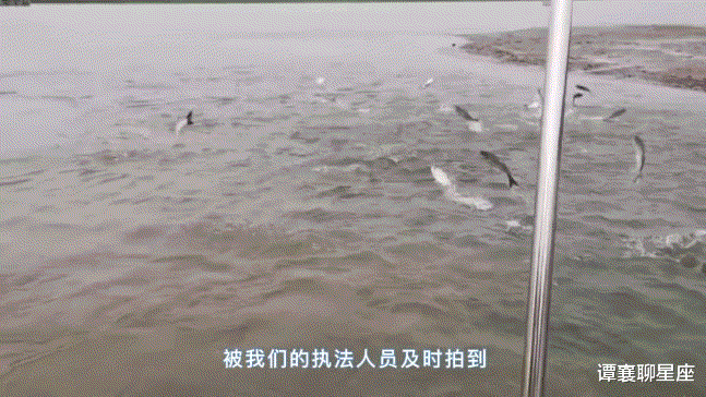 长江的“大试验”:宜都出现大量鱼卵,三峡水库洪峰见成效?