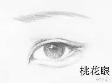 狐狸|桃花眼,丹凤眼,狐狸眼,这15位明星的眼睛,个个有灵气