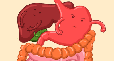 |胃真的越撑越大、越饿越小？