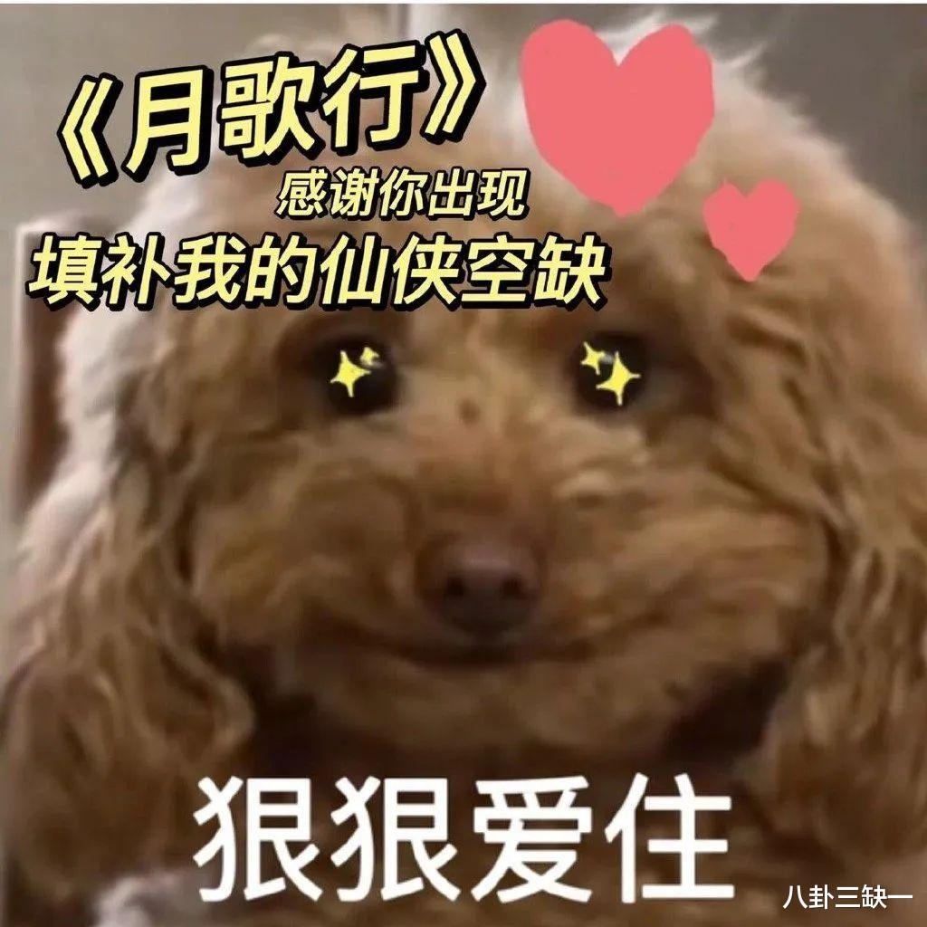 月歌行|爱情、友情、师徒情，《月歌行》未免也太好追了！