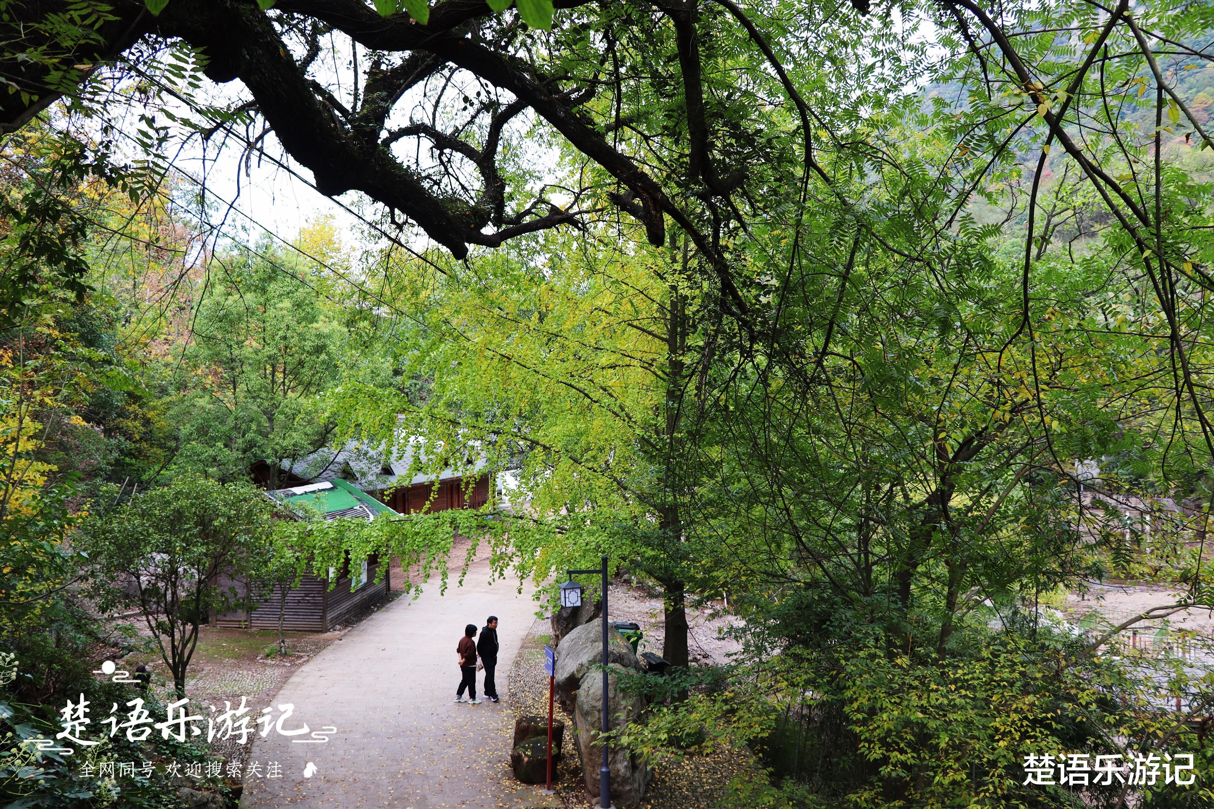 贵州|浙江这个古村落依山傍水，被称为唐诗之路的明珠，到处是人文传说