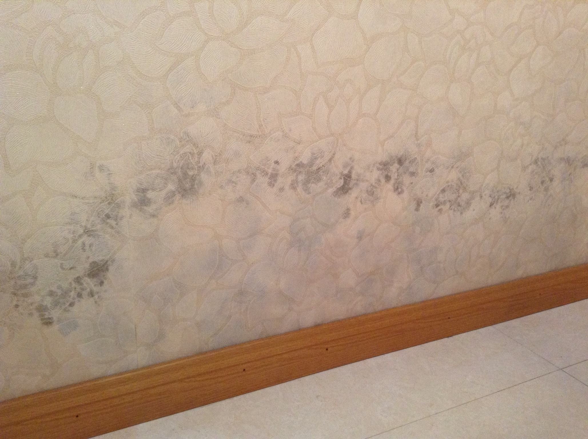 当初装修脑子抽风! 一连犯下16个不可弥补的错误, 个个使我心塞到死