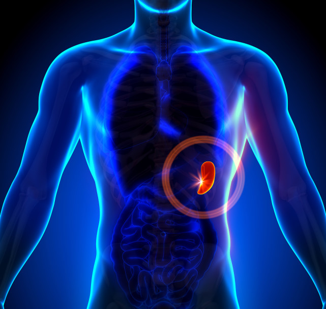 脾胃|同样是脾虚,为何有人怎么吃都不胖,而有人却不吃都胖?