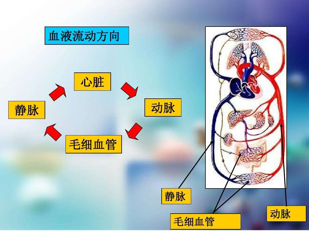 处在冬眠状态下的熊,会受到食肉动物老虎的威胁吗?专家表示肯定