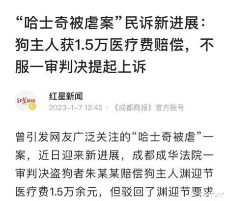 宠物狗被打残,法院判赔15000,狗主人上诉:还我狗的眼睛