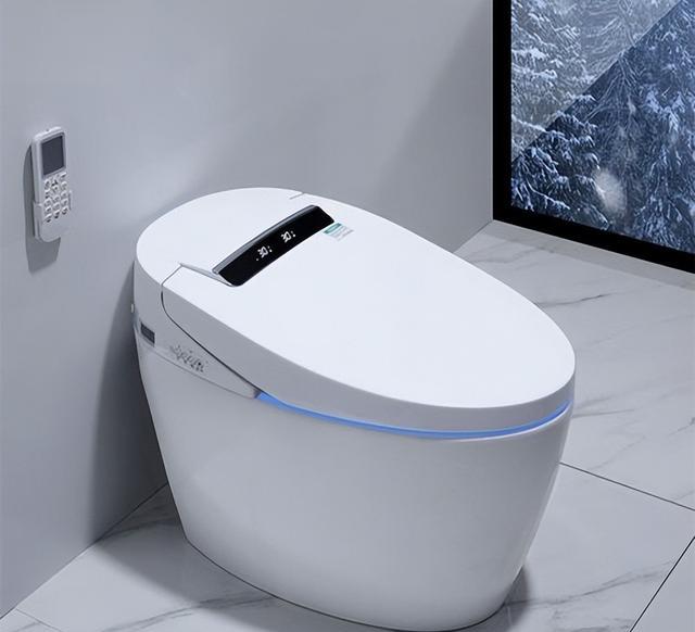 入住一年，关于智能马桶的选购，听听我的建议，别交智商税了