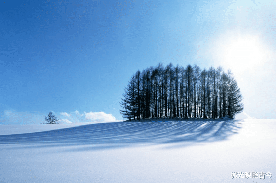 运势|这几个星座接下来事业会获得成功，让人无比羡慕