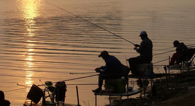 |野钓死窝了怎么办？弄清楚原因，亡羊补牢不如事先预防