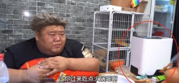 猪蹄 胖猴仔断更五天，刚瘦40斤就营业做猪蹄，资本还是没能放过他