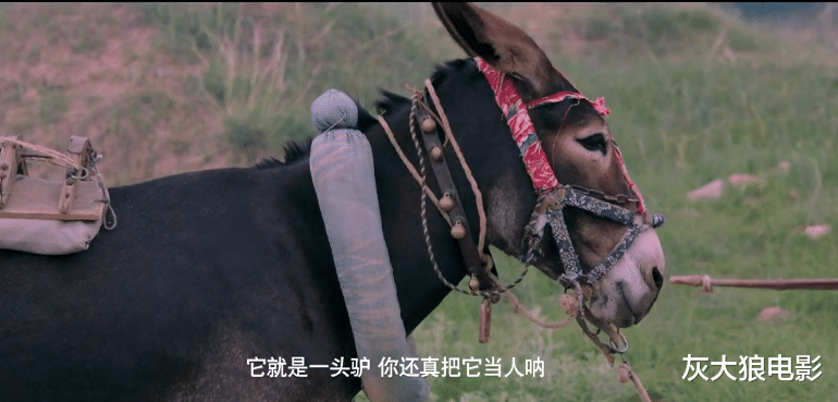 裴魁山|《驴得水》：老实男人，是如何因为一个女人，变成恶人的？