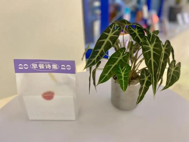 腾冲|边拍边画 | 这里，越夜越美丽