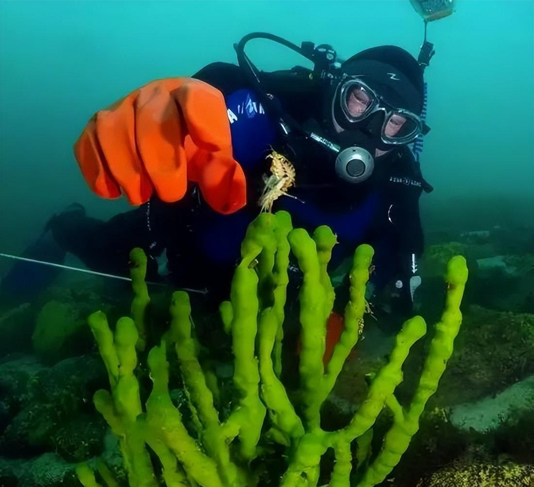 贝加尔湖明明是一个淡水湖,为什么会生活着海洋生物?