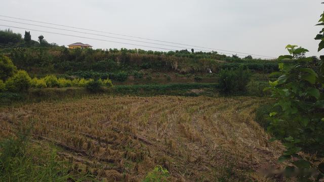 |野钓风景图