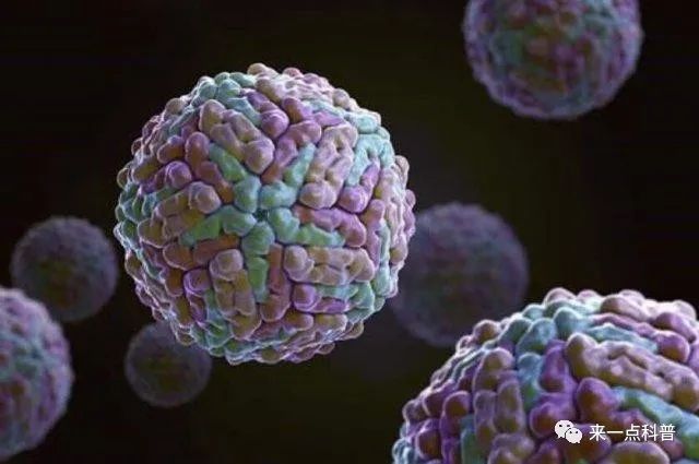 盘点历史上十二种致命病毒(上)