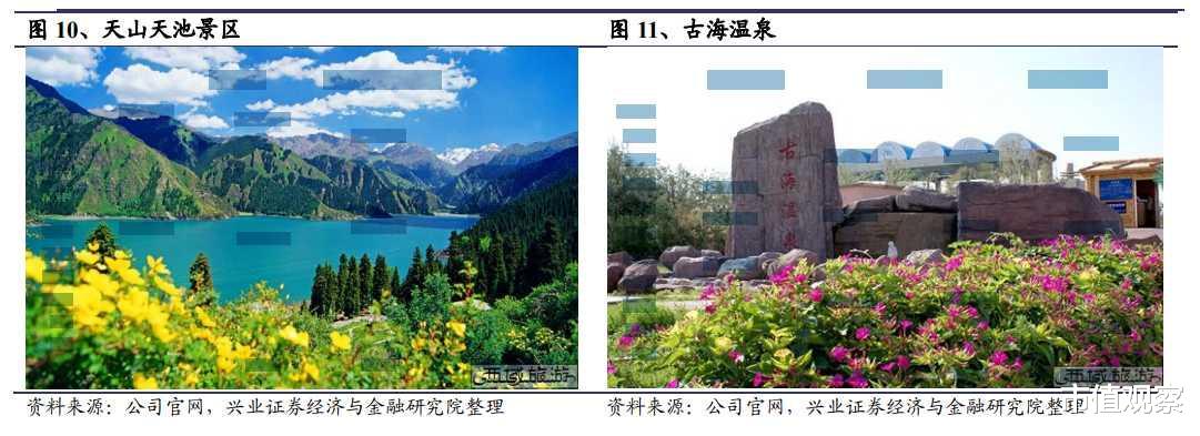 庐山|行程卡“摘星”，旅游市场迎复苏高峰，哪些企业潜力最大？