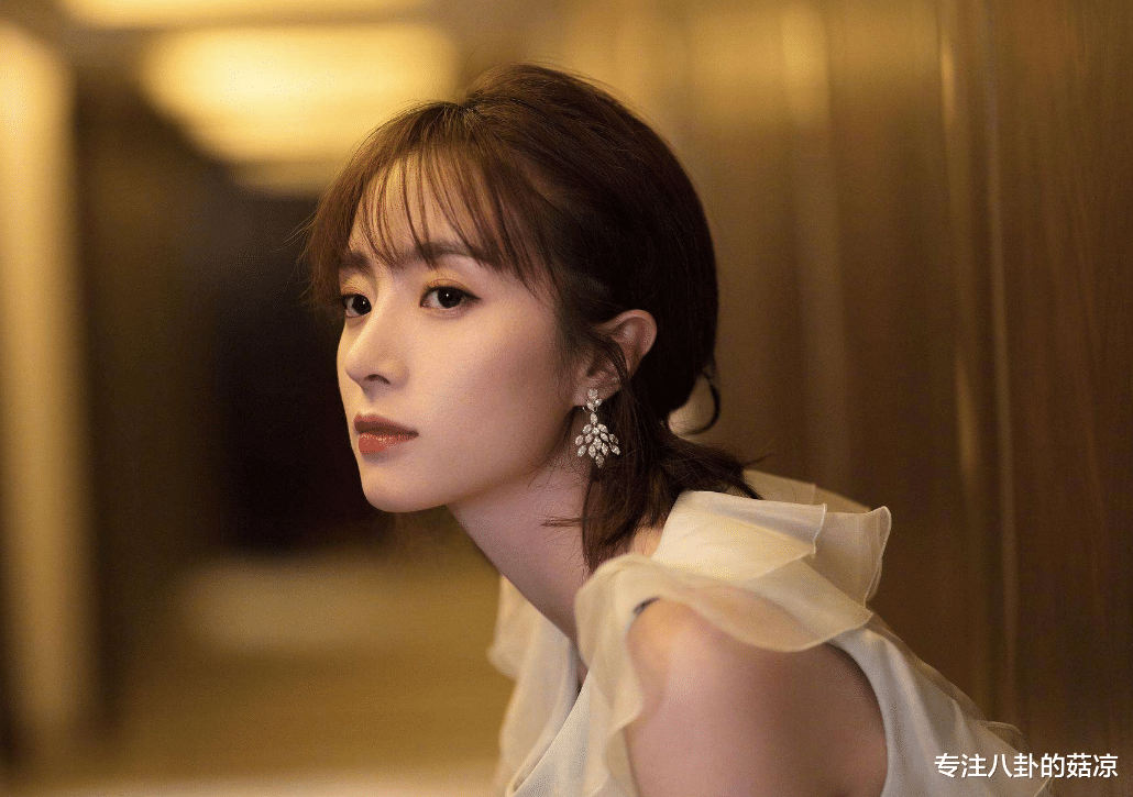 冷面|新甜宠剧将至,元气少女遇上冷面总裁,宠物情缘,入股不亏