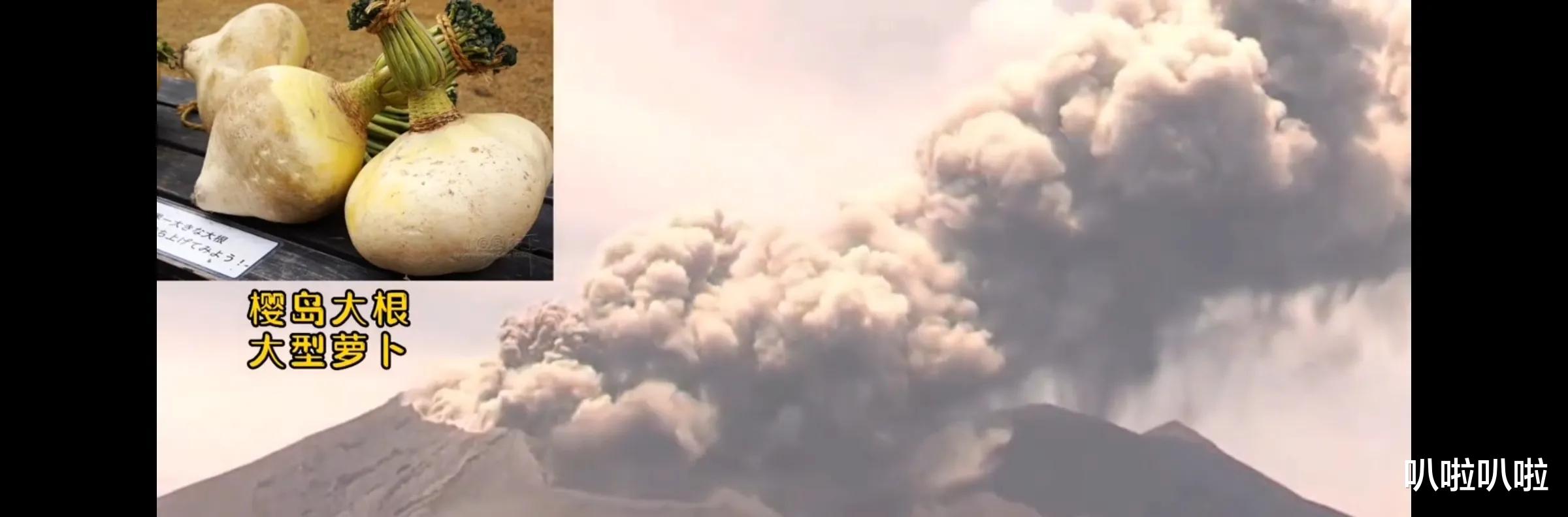 玉龙雪山|日本富士山还没爆发,樱岛火山憋不住了