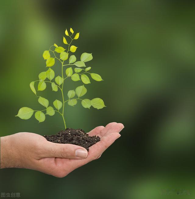 |越鞠丸解气郁、血郁、火郁、痰郁、食郁、湿郁，你用对了吗