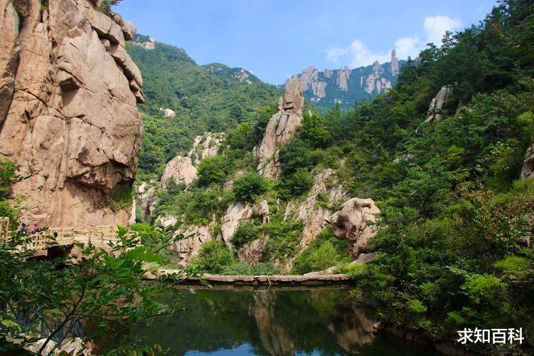 山海经|娃娃鱼：《山海经》现存物种之一，绝大多数人都被它的名字骗了