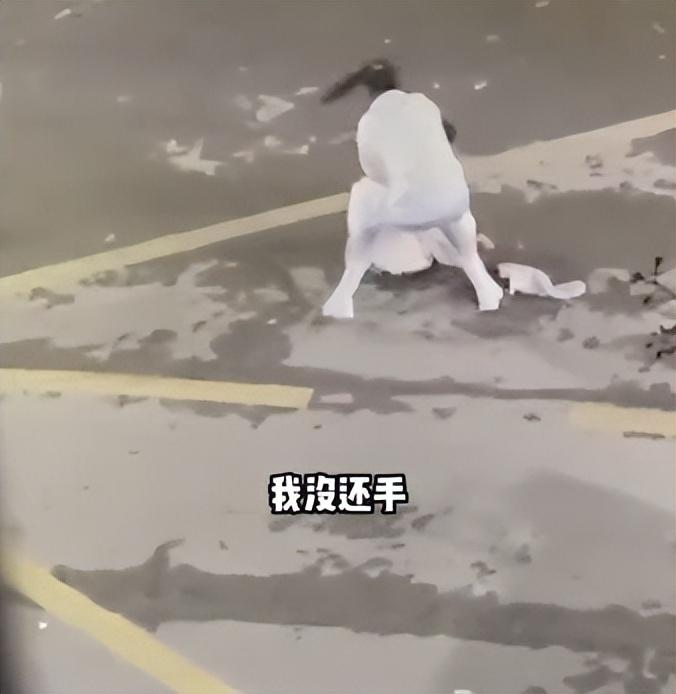 湖北女孩遭母亲当街殴打:围观同学瑟瑟发抖!引热议