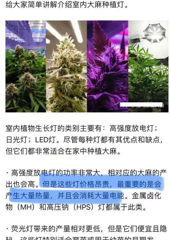 具俊晔|大小S姐妹吸毒史被扒，家里巨额电费引发猜测，具俊晔也被波及