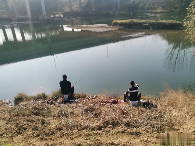 |钓鱼绕不开的话题,鱼资源差到底该怎么办?