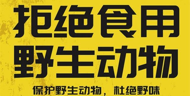 广东省|广东一男子野钓收获四脚“怪鱼”,直接将其拿回家,朋友:心真大