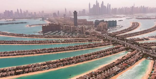 迪拜|迪拜明智的选择，将中国“海水稻”种在沙漠，直接变“粮仓”