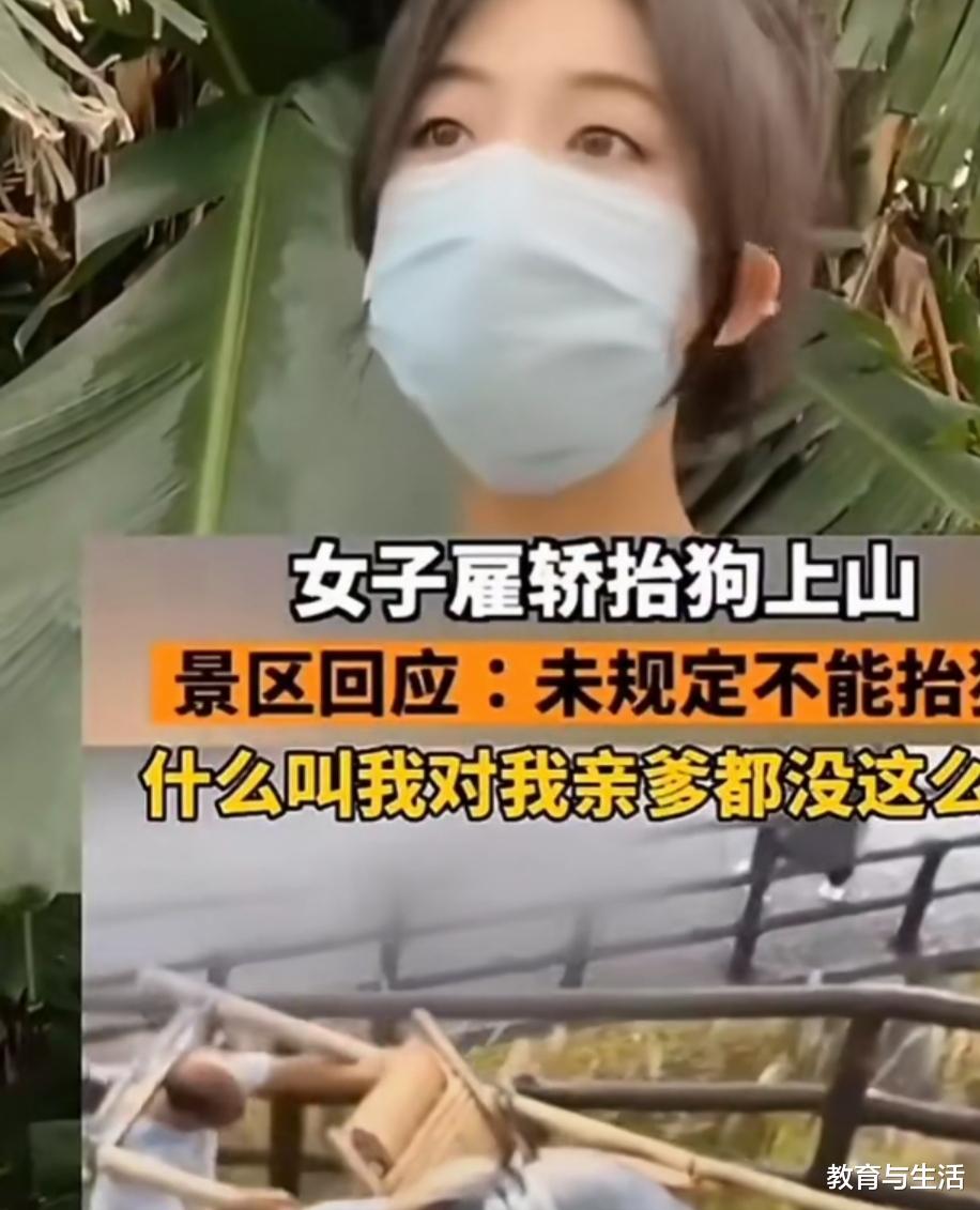女子花380元雇轿抬狗遭质疑“对亲爹都没这么好”,女子回应:少管闲事