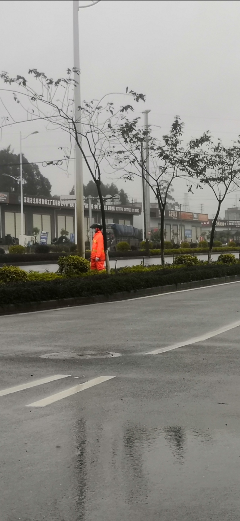 共同维护美丽的环境，做好自我