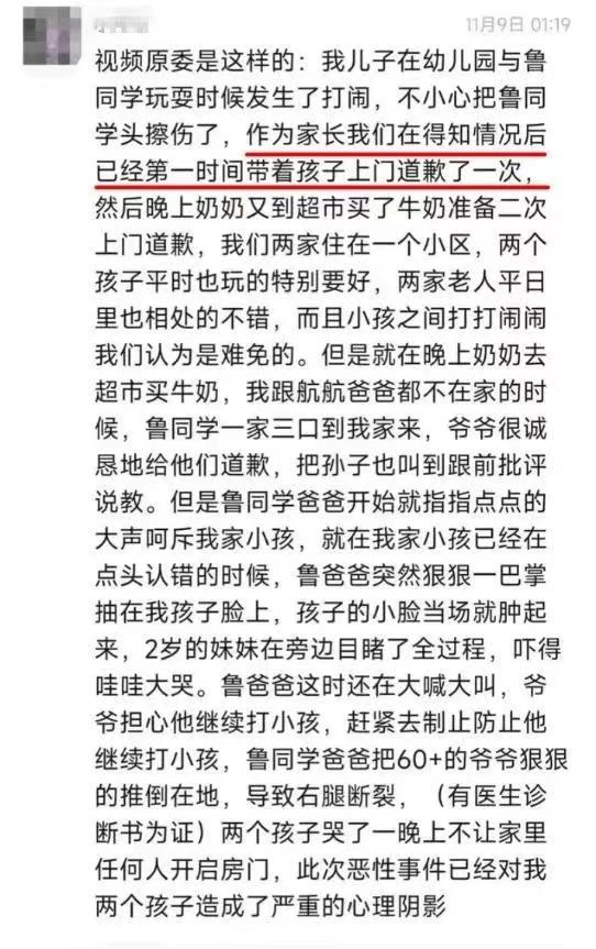 官媒评论南京打人事件:鲁某要罚,被打一家做法也欠妥!