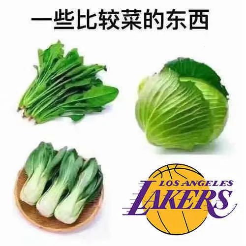 湖人队|湖人，脸都不要了！