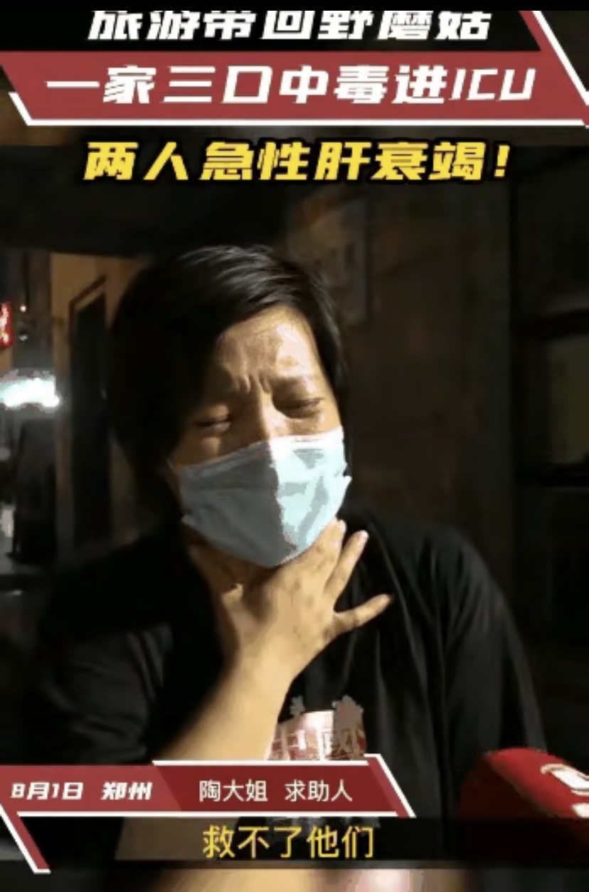 山西省|旅游带回野蘑菇，一家三口中毒进ICU，太疼心了！