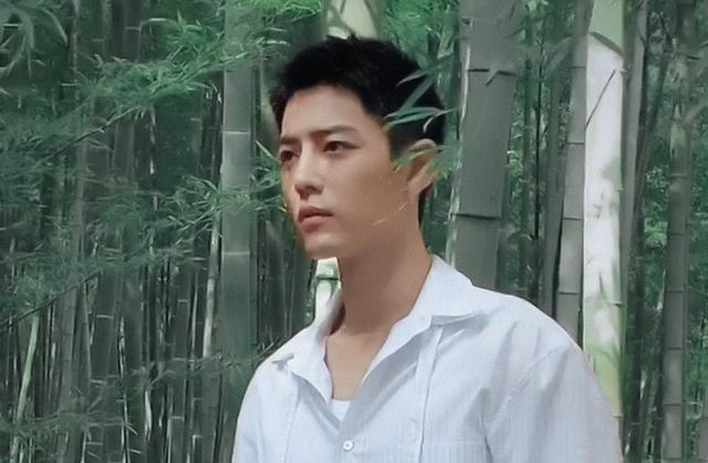 肖战|肖战粉丝单人捐赠200万获官媒点名，一连获得5张证书，极为感动