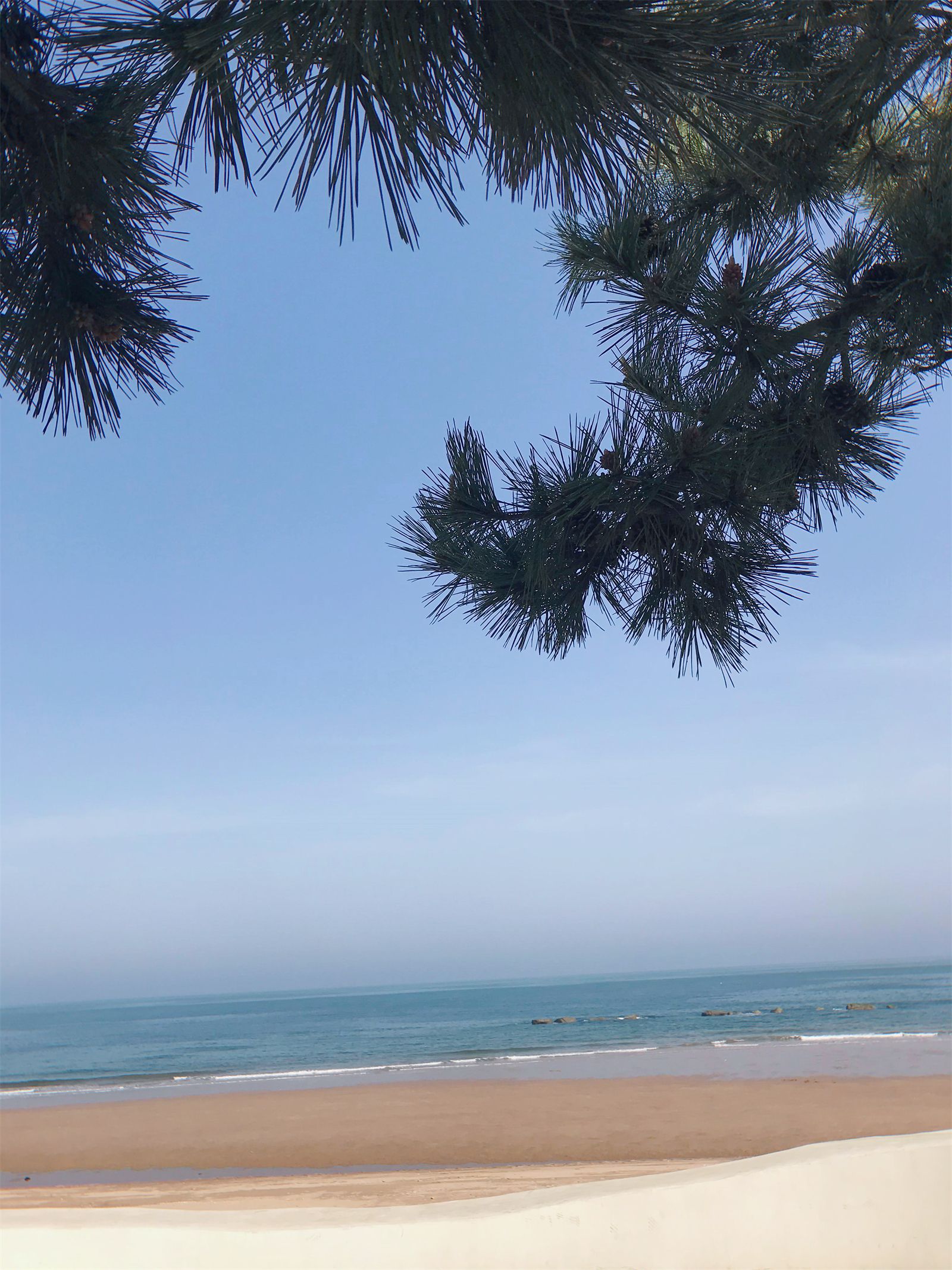 |日照游记，像汽水一样心动的夏天