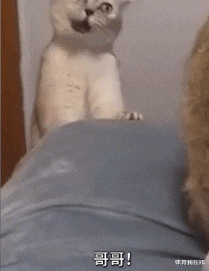 婚姻|“如果我现在冻死了,你现在的职业!”能为我做点什么?哈哈哈