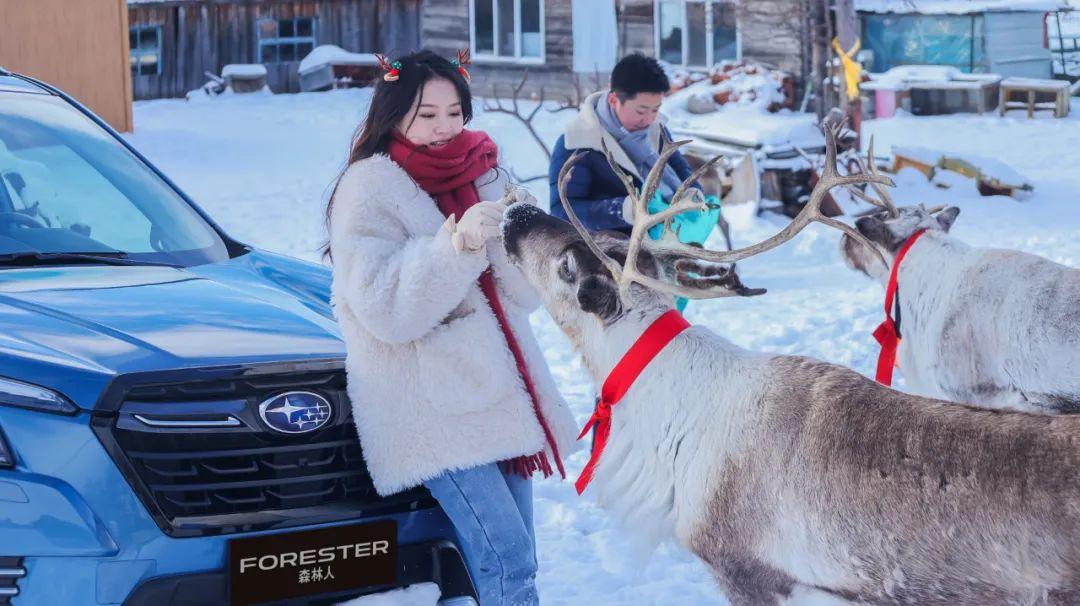 涨停|《雪国的森林》纪录片以外的故事:敖鲁古雅使鹿部落