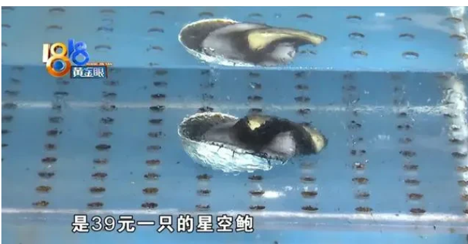 浙江杭州,一男子和朋友到某马鲜生吃饭,点了石斑鱼、黑虎虾,还有叫星空鲍的鲍鱼