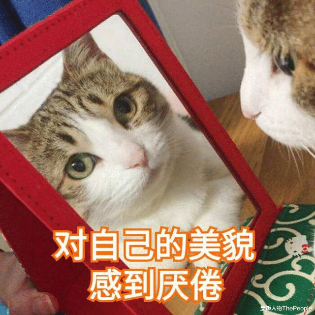 林青霞|美人沟下巴有多好看？林青霞下巴凹陷成经典，戚薇变尖却失辨识度