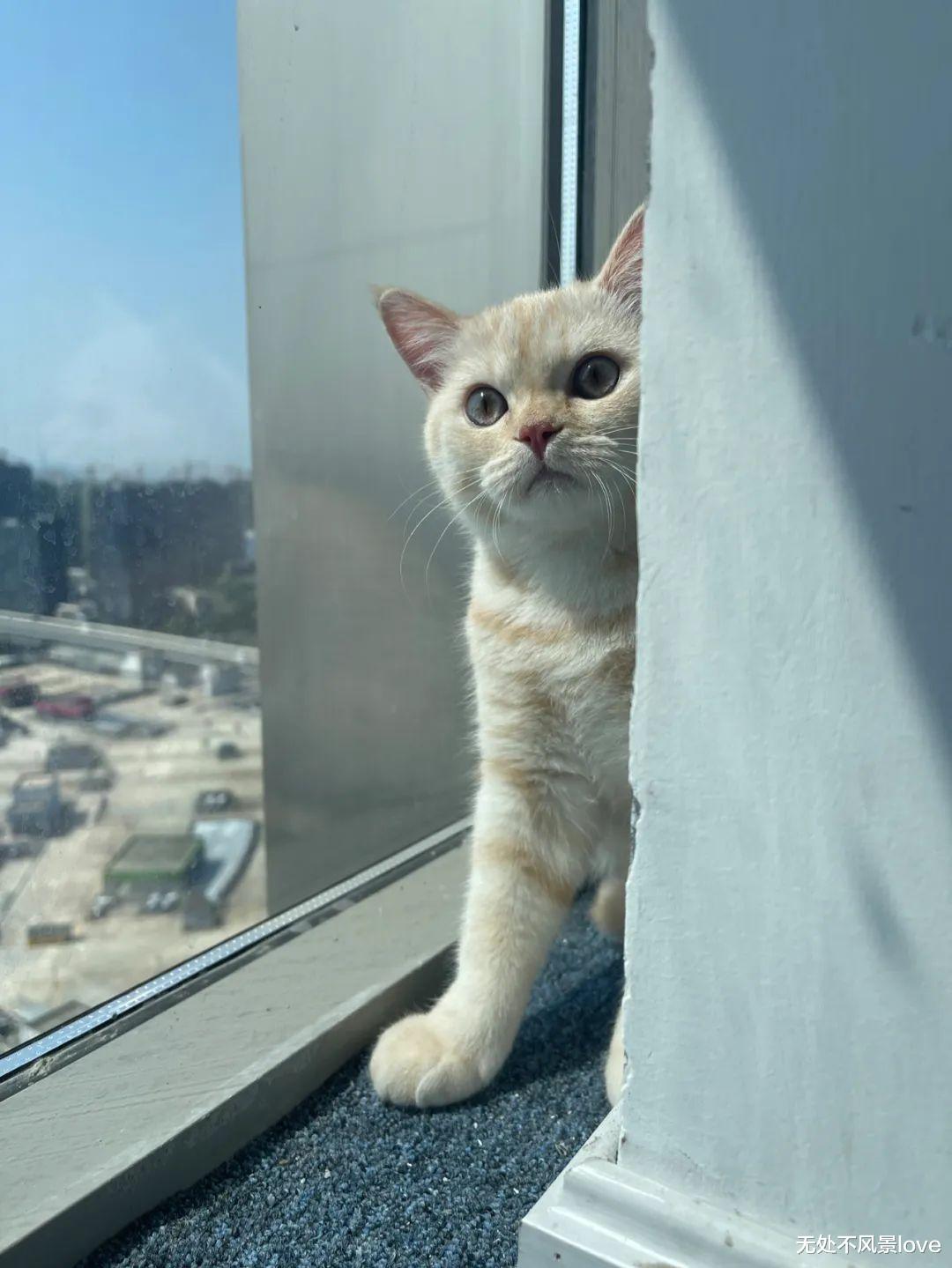 茅台|“本科毕业后,我去海底捞刷盘子……”