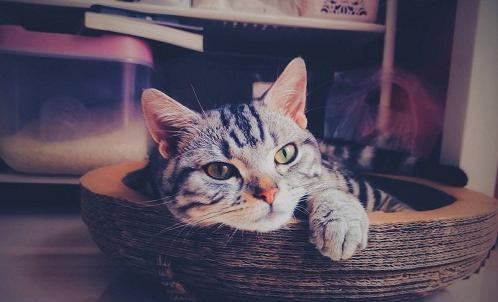 黑丝|一个人是不是富贵命，到40岁左右就能看出来，两个细节很关键