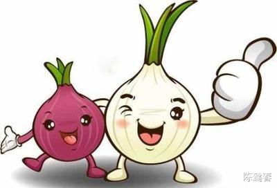 丝瓜|陈医生:痛风患者能食用洋葱吗?