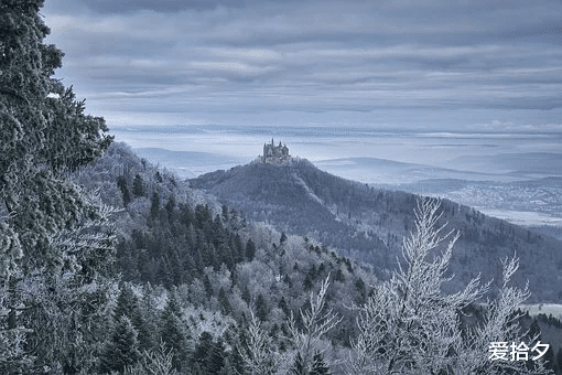 春招|人过五十,学会装傻,你就赢了