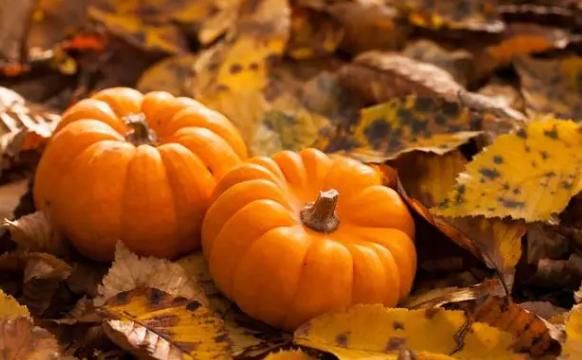 蔬菜|8种不宜常吃的蔬菜公开,南瓜排最后,榜首或许有不少人经常吃